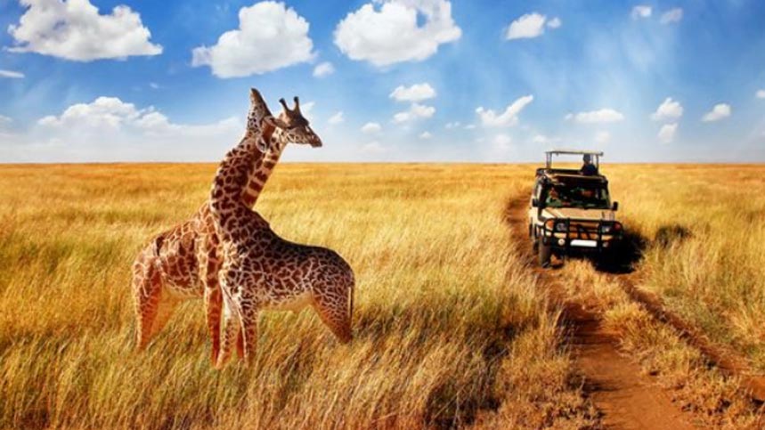 África